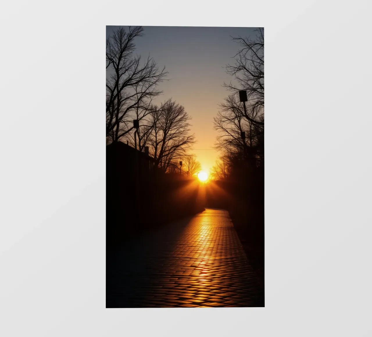 Sunset view along a tree-lined pathway with warm hues photo wallpaper by DesignDoodle