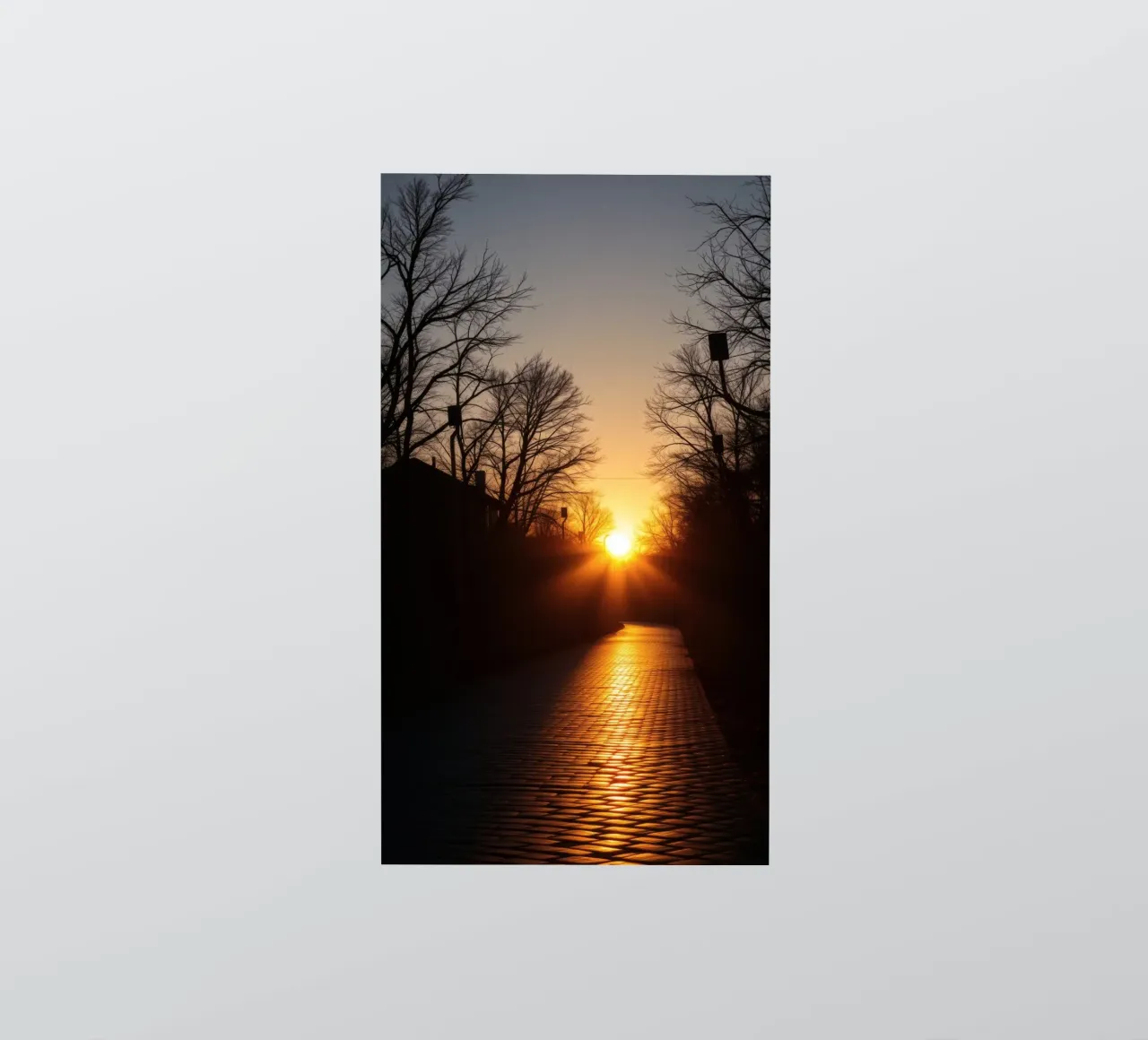 Sunset view along a tree-lined pathway with warm hues sticker by DesignDoodle