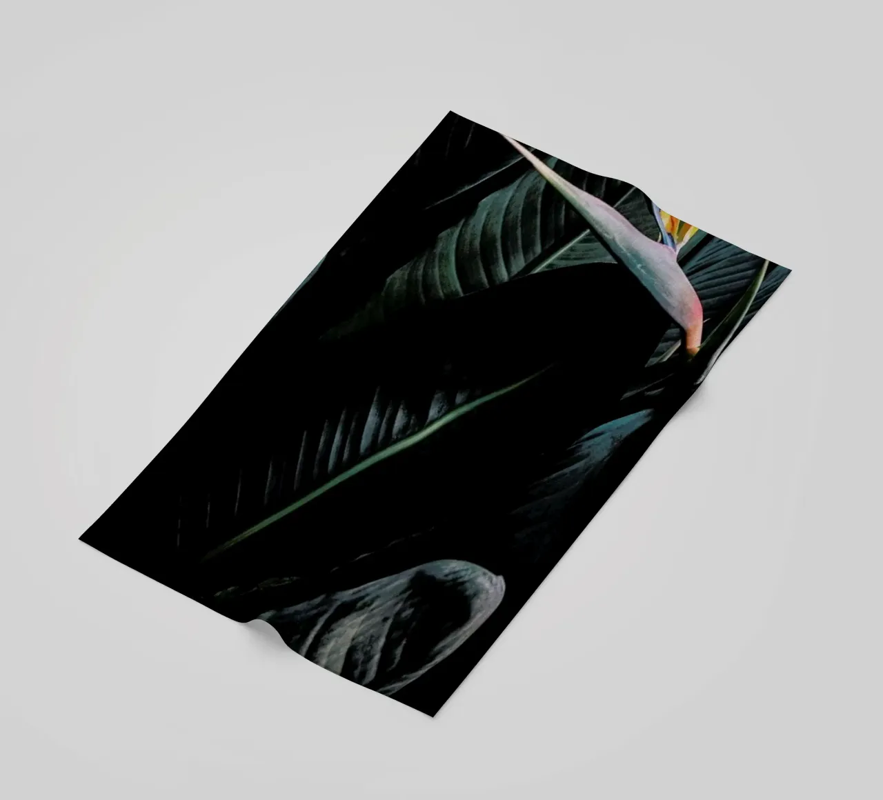 Bird of Paradise telo mare da Amy & Kurt