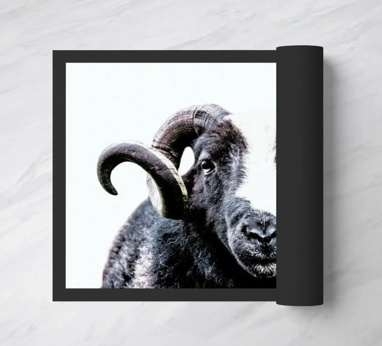 R.A.M zerbino da Victoria Frost