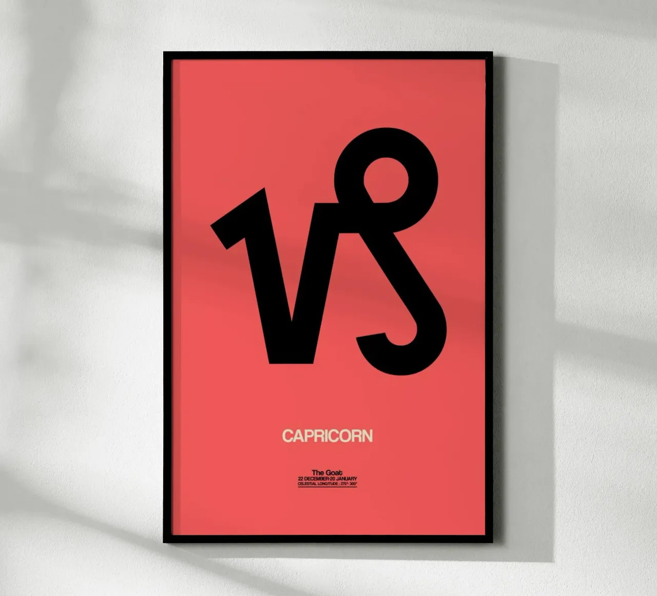 Capricorn poster con telaio in alluminio da Naxart