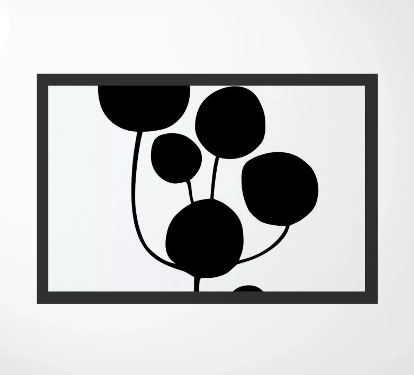 Leaf Specimen Pilea zerbino da Oh Darling