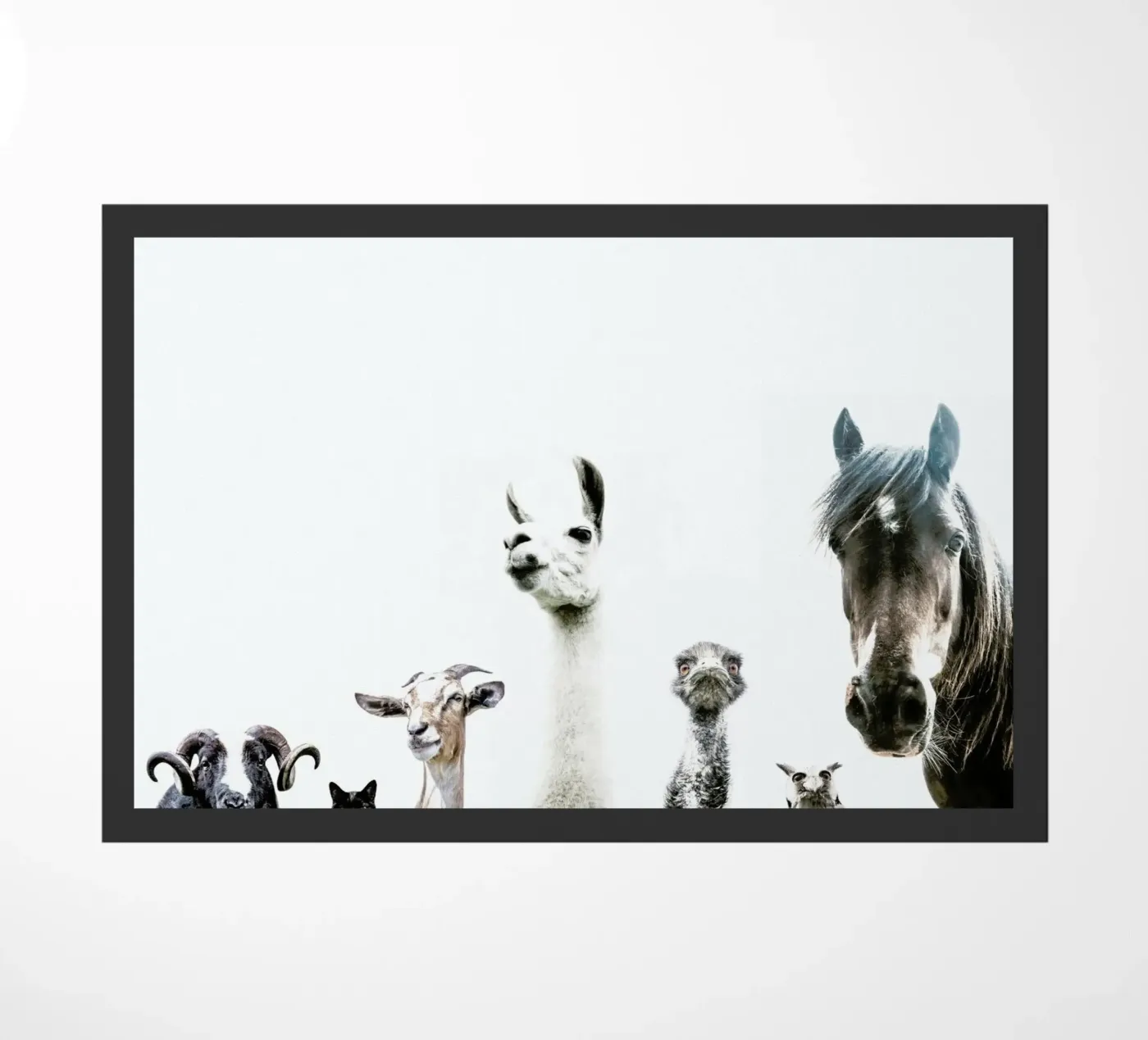 Equipaggio animale zerbino da Victoria Frost