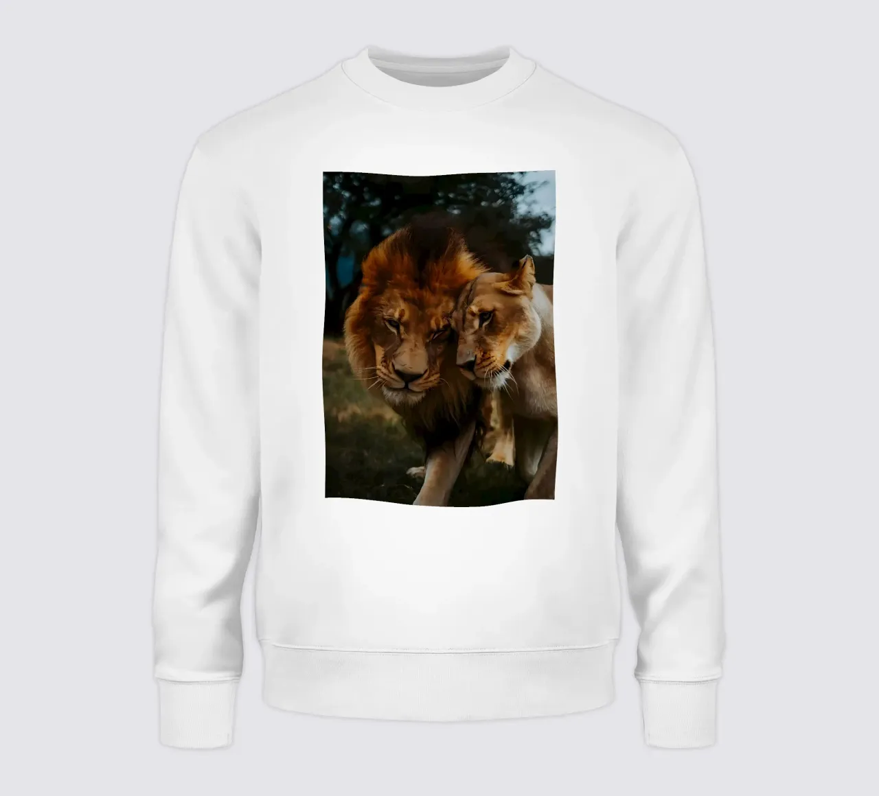 Leeuwen Liefde sweatshirt van Mikesell