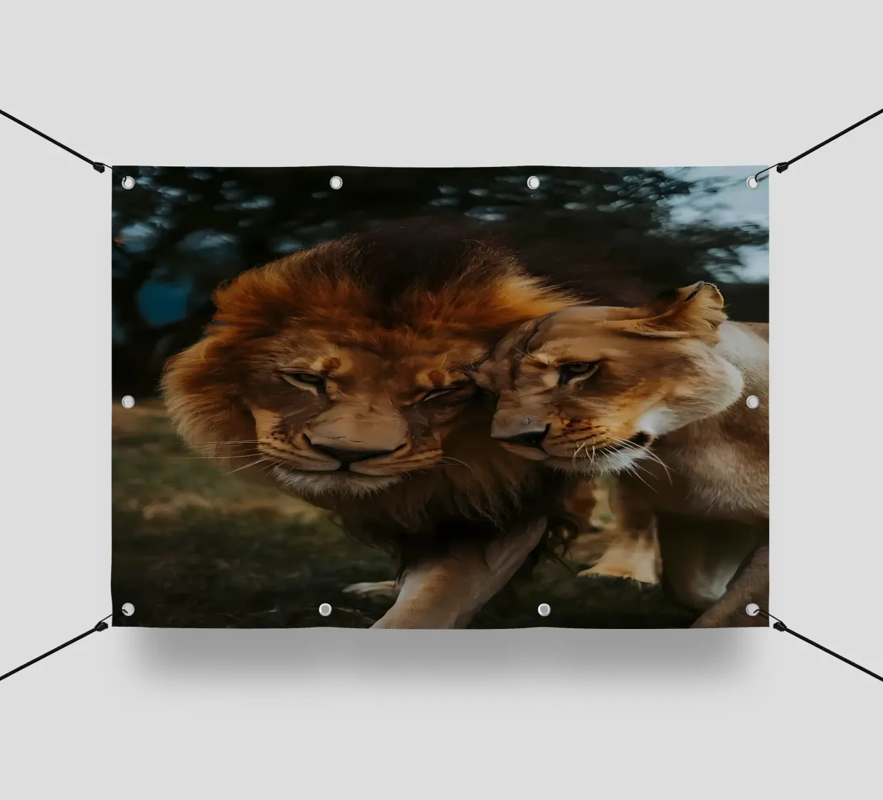 Leeuwen Liefde pvc-zeil van Mikesell