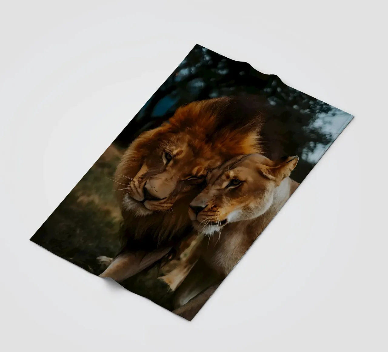 Leeuwen Liefde fleecedeken van Mikesell