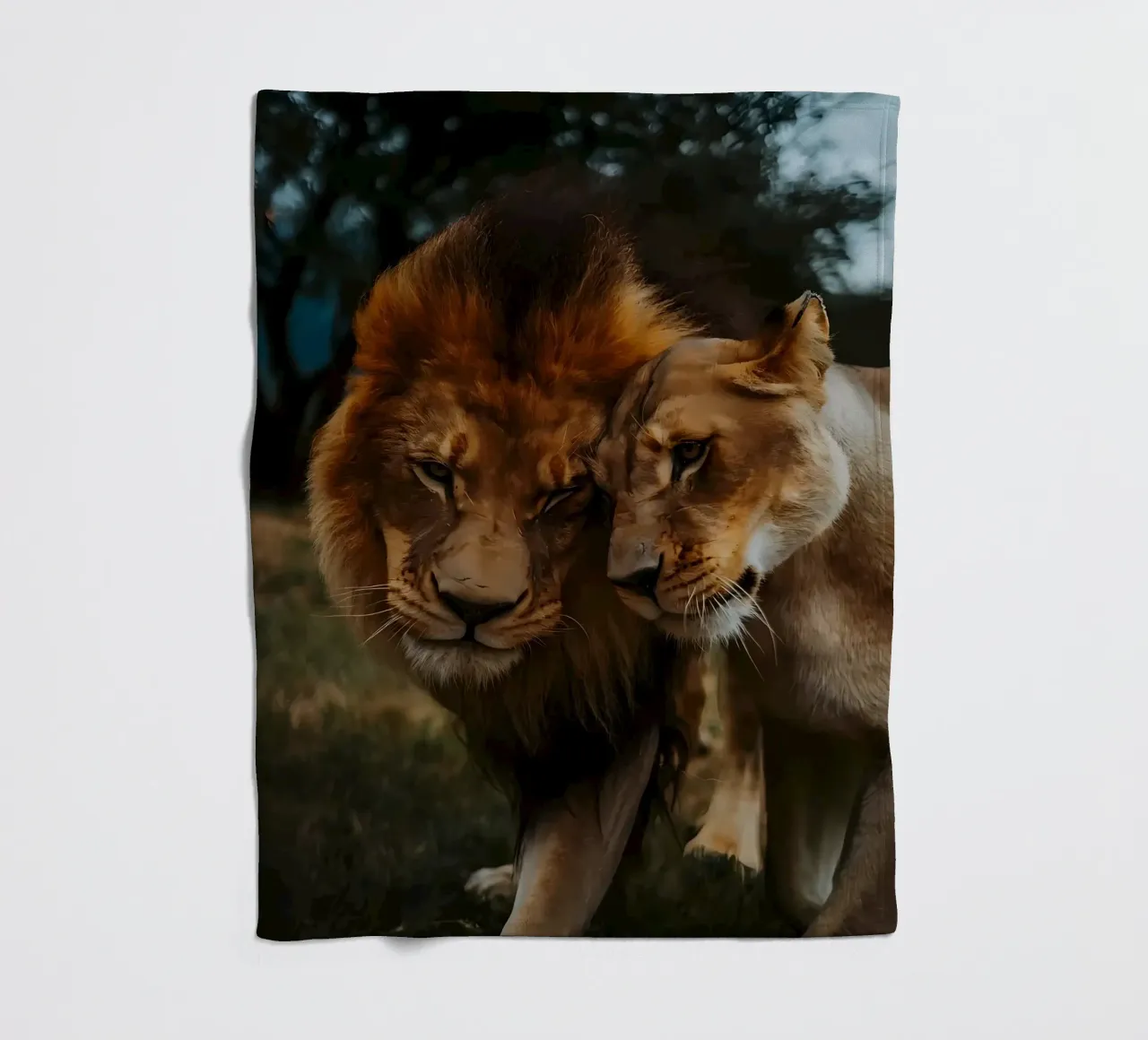 Leeuwen Liefde fleecedeken van Mikesell