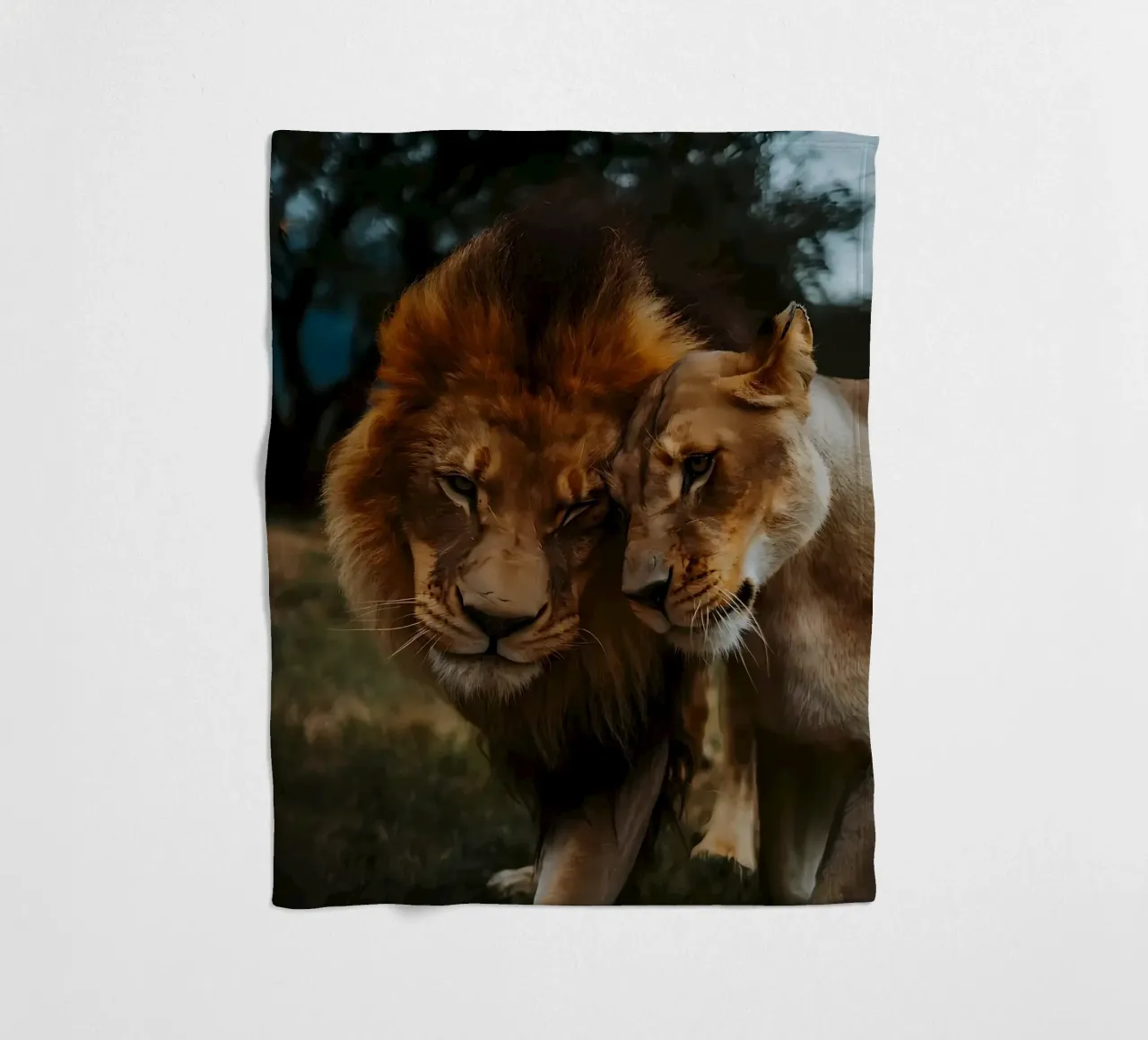 Leeuwen Liefde fleecedeken van Mikesell