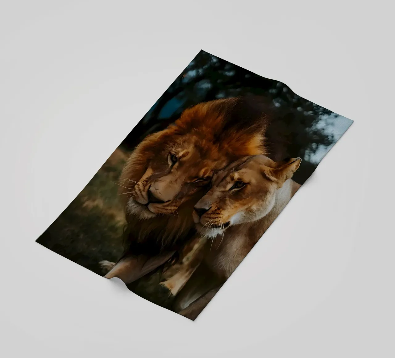 Leeuwen Liefde strandhanddoek van Mikesell