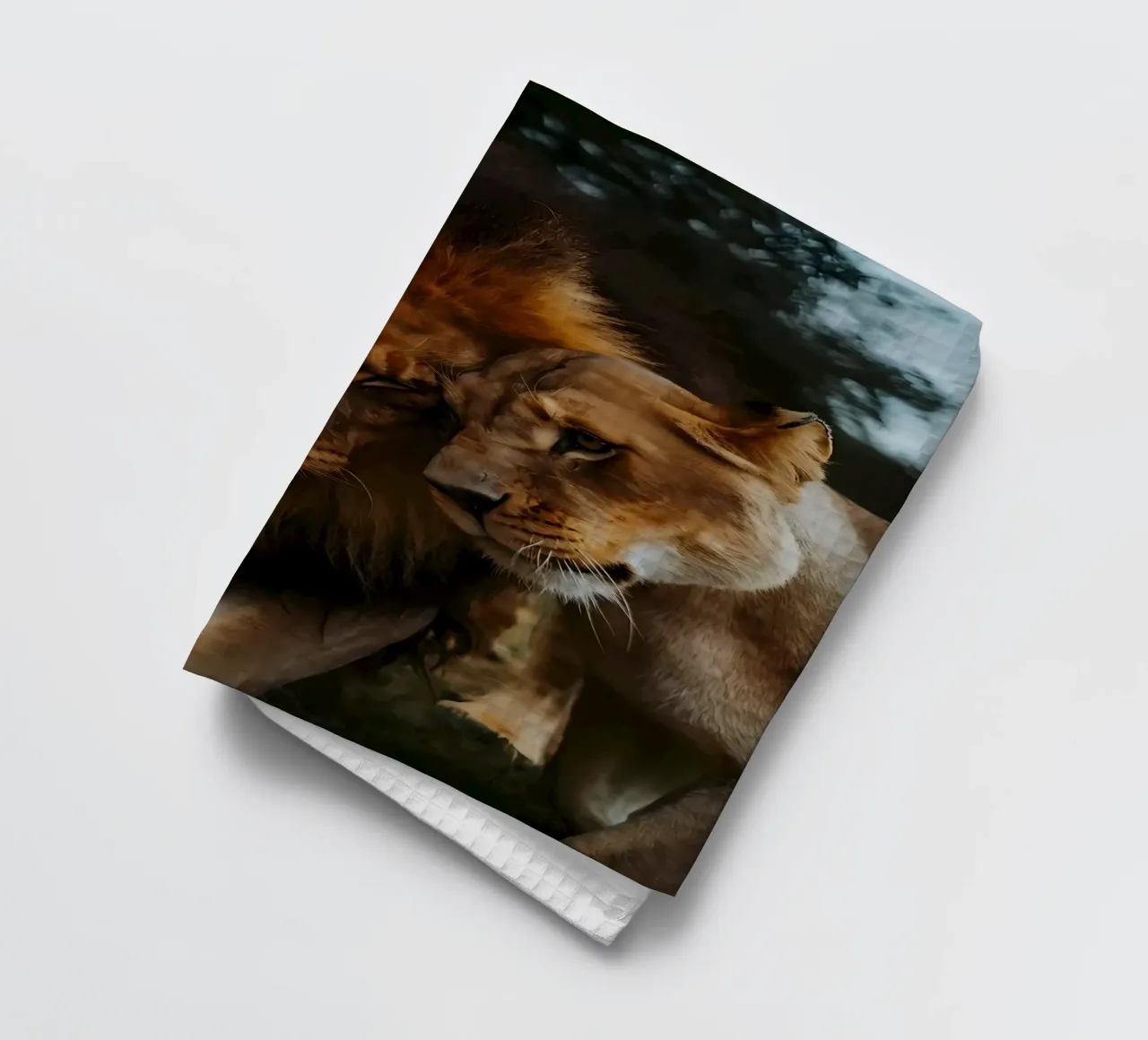 Leeuwen Liefde theedoek van Mikesell