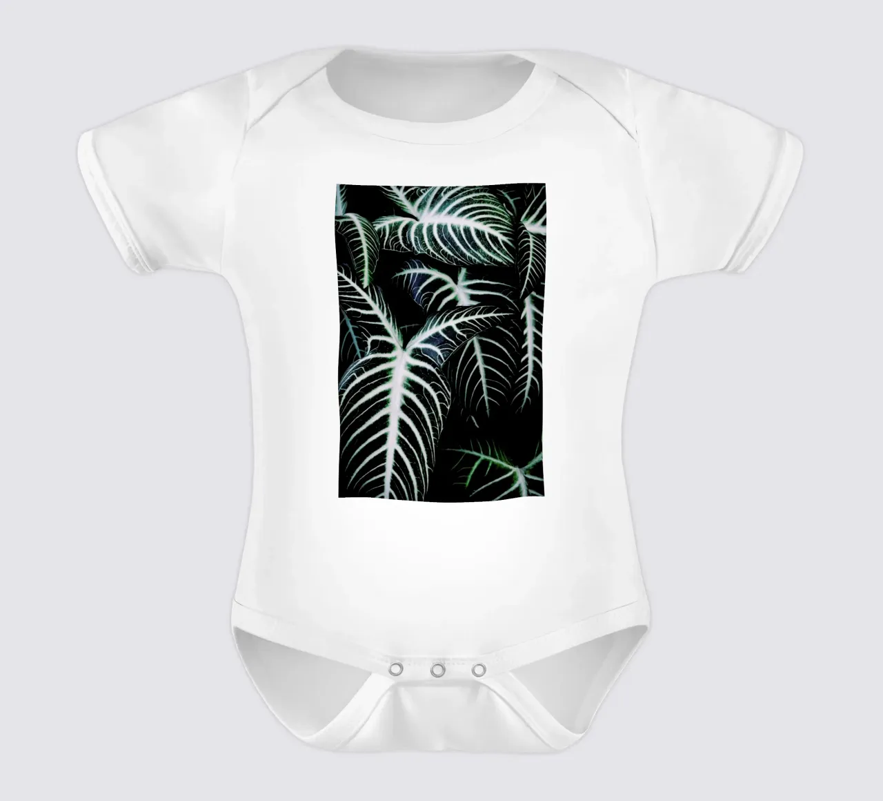 Jungle 2 body neonato maniche corte da Amy & Kurt