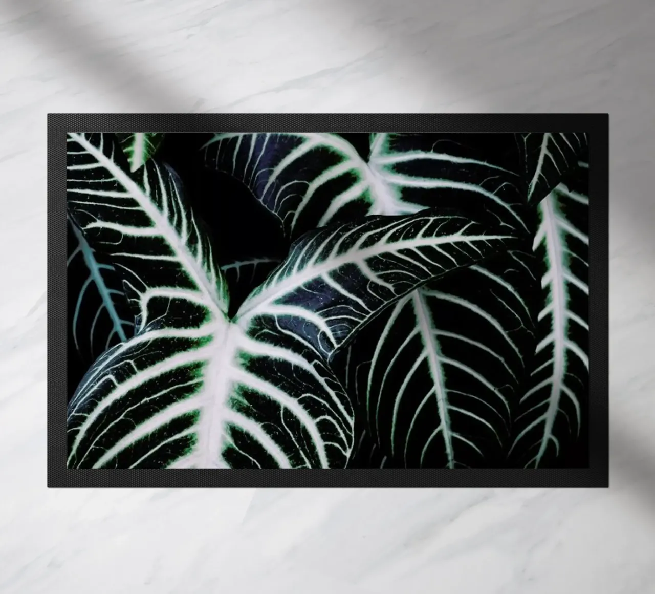 Jungle 2 zerbino da Amy & Kurt