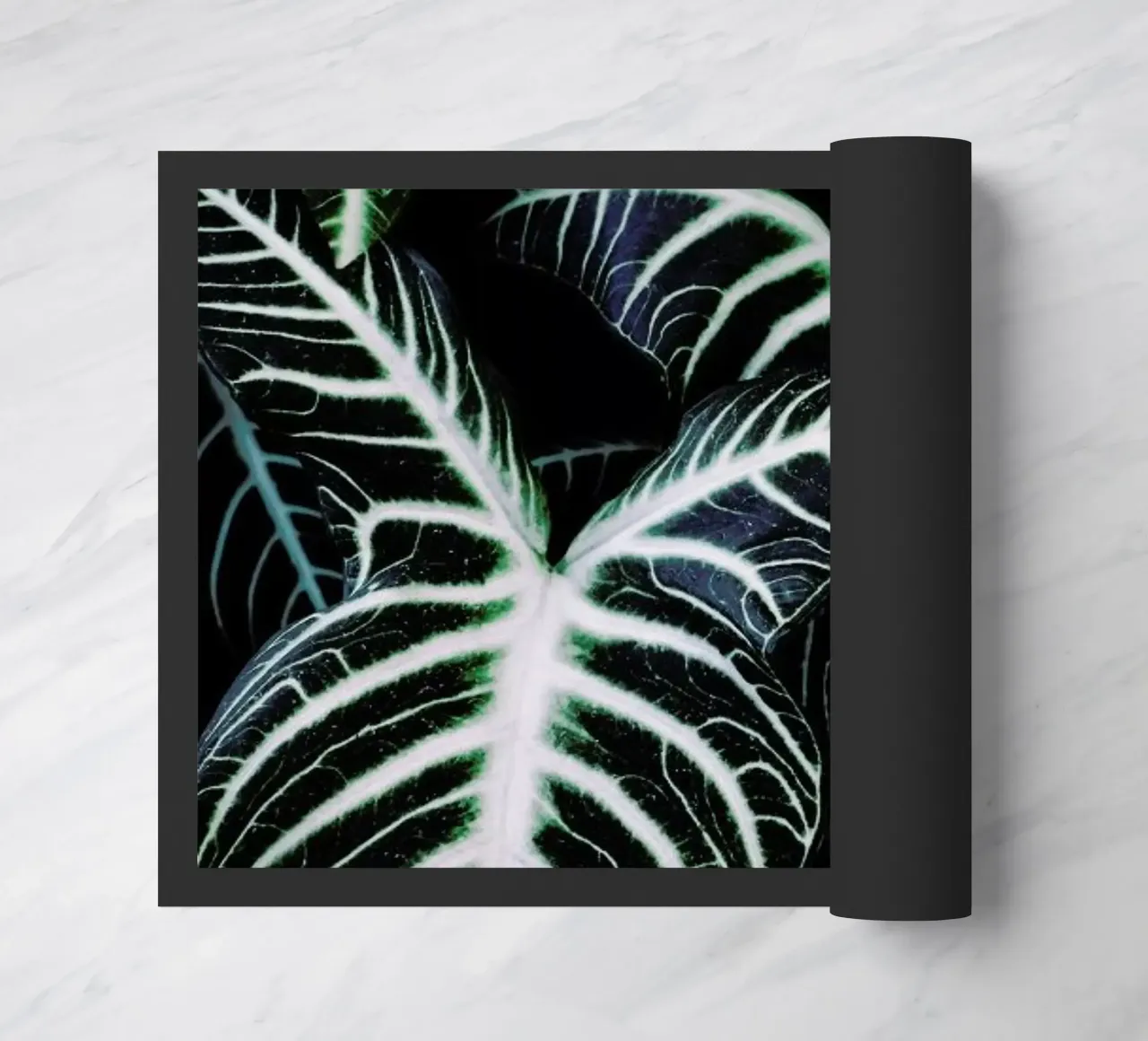 Jungle 2 zerbino da Amy & Kurt