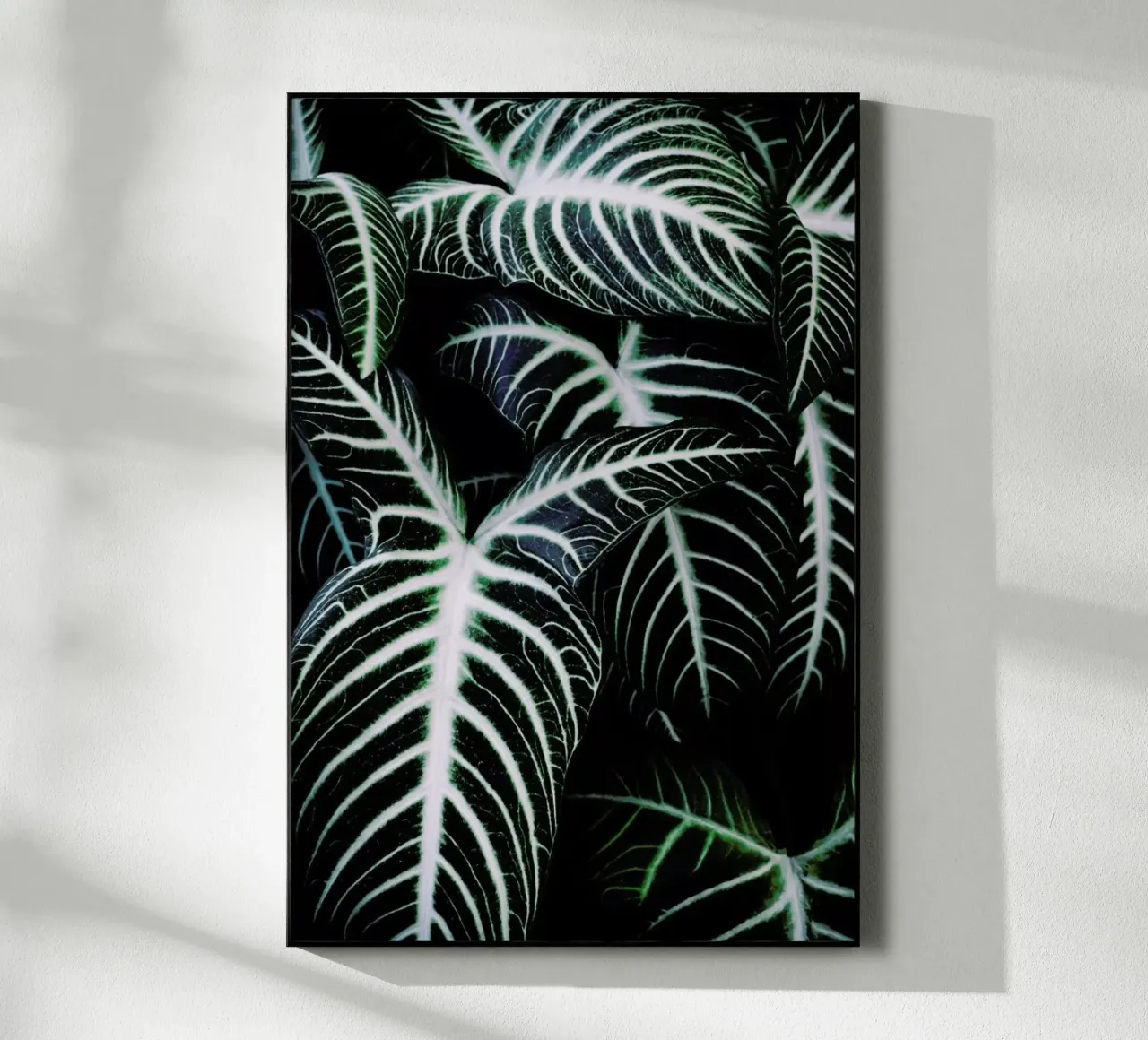 Jungle 2 plexiglass da Amy & Kurt