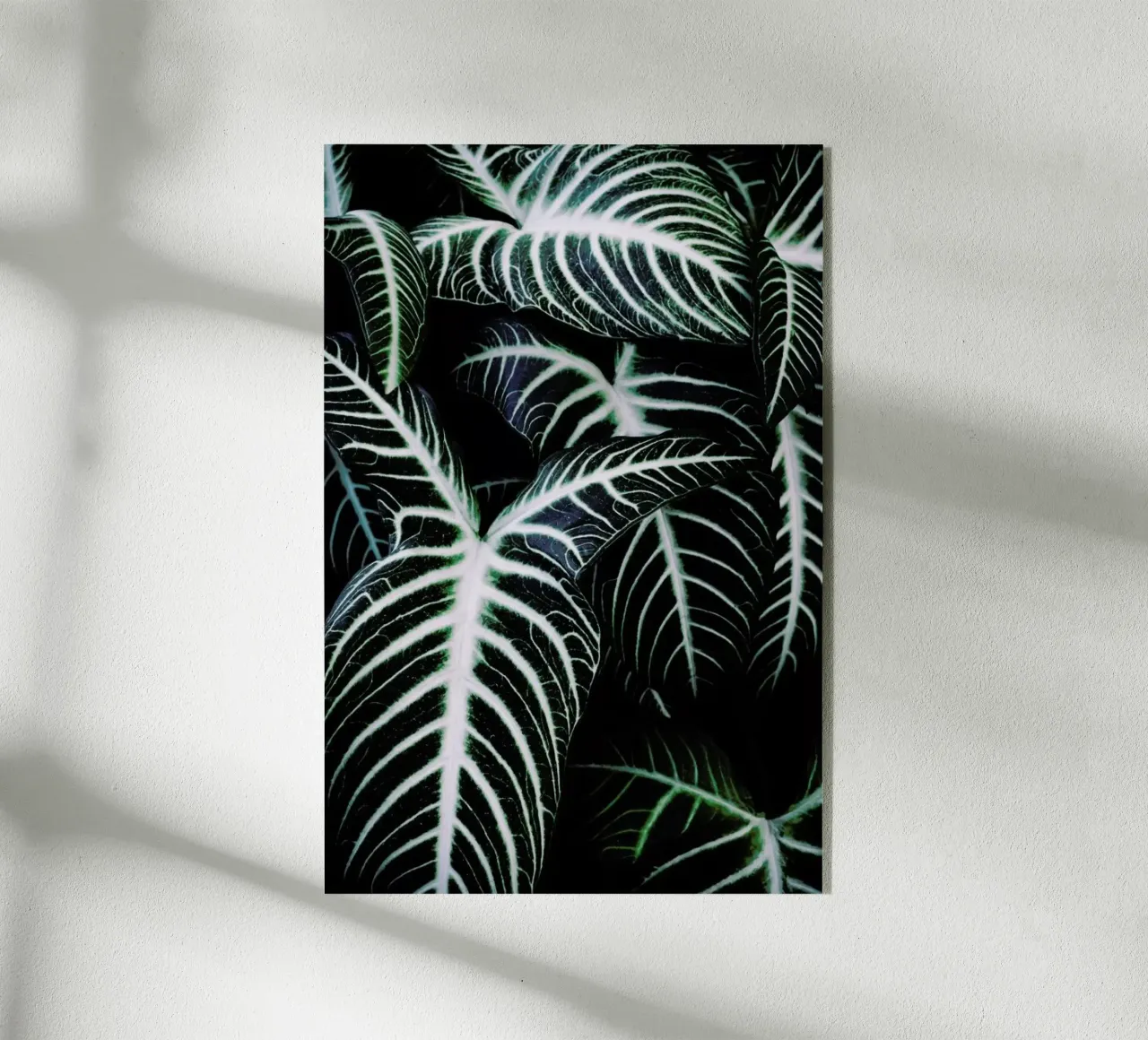 Jungle 2 plexiglass da Amy & Kurt