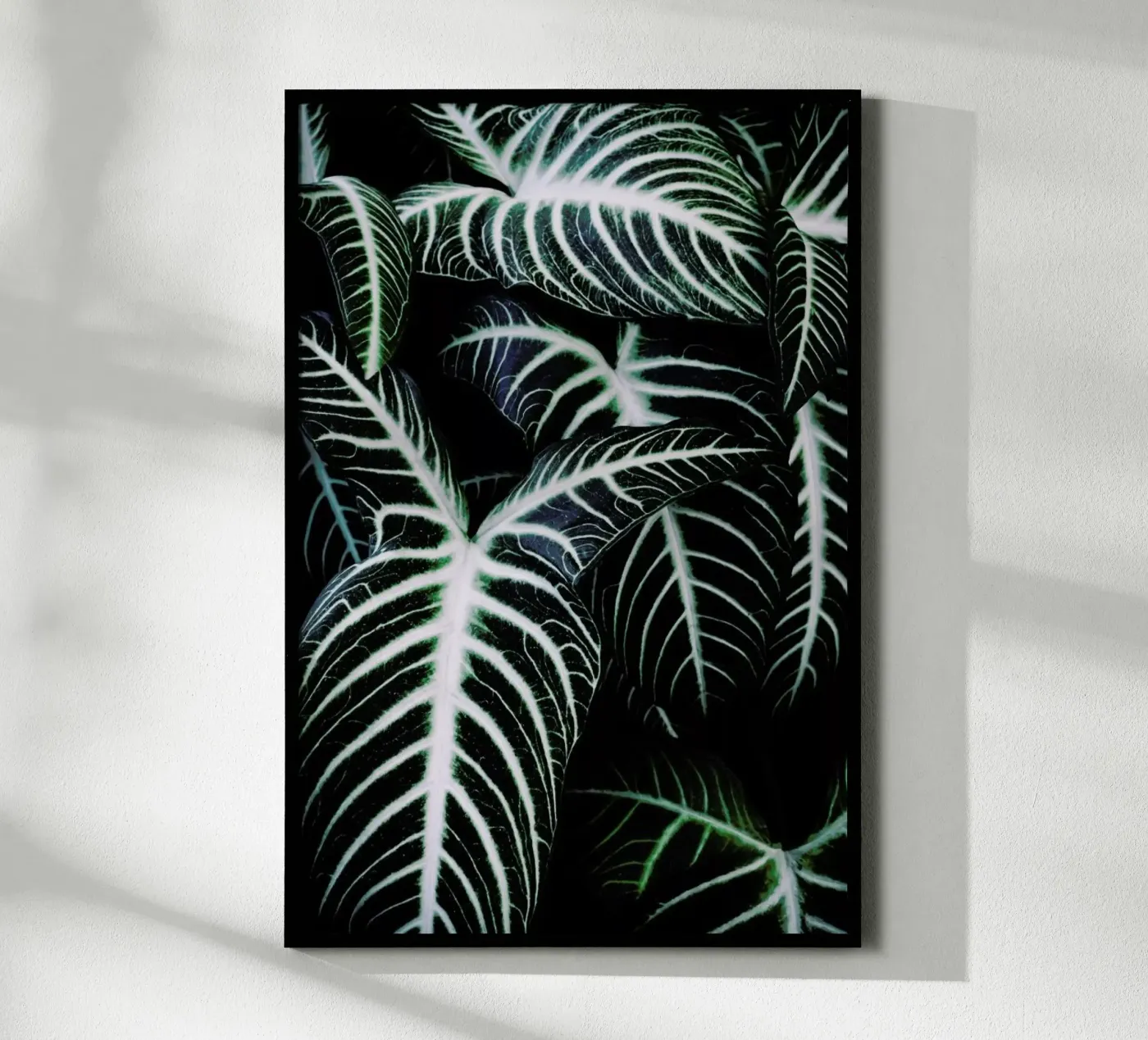 Jungle 2 poster da Amy & Kurt