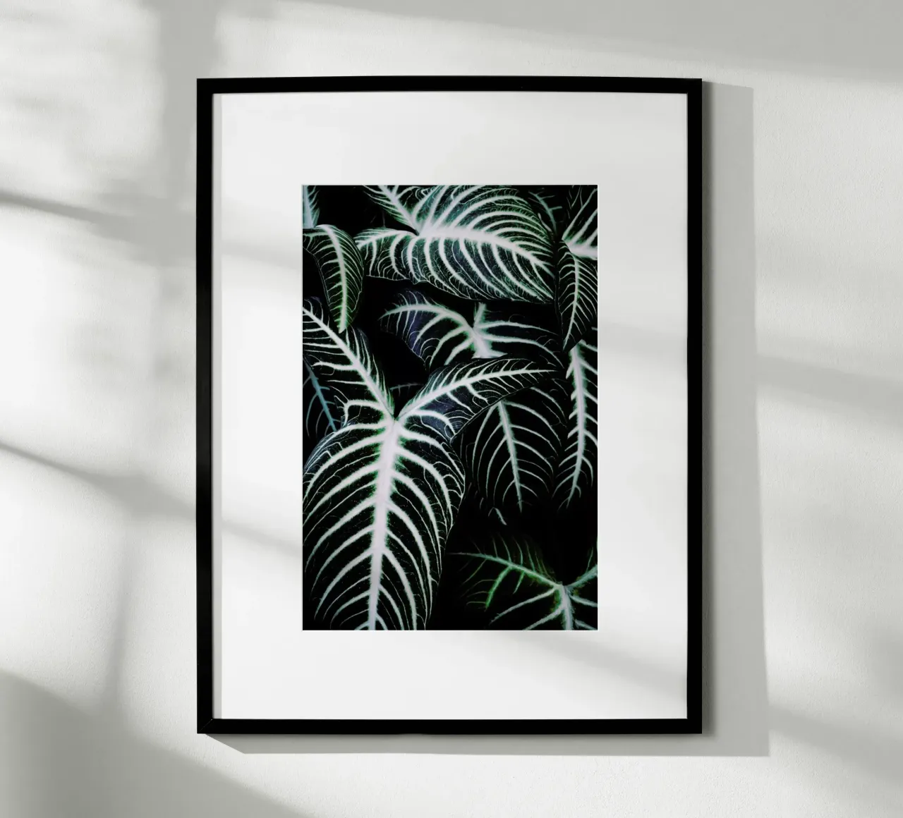 Jungle 2 poster da Amy & Kurt