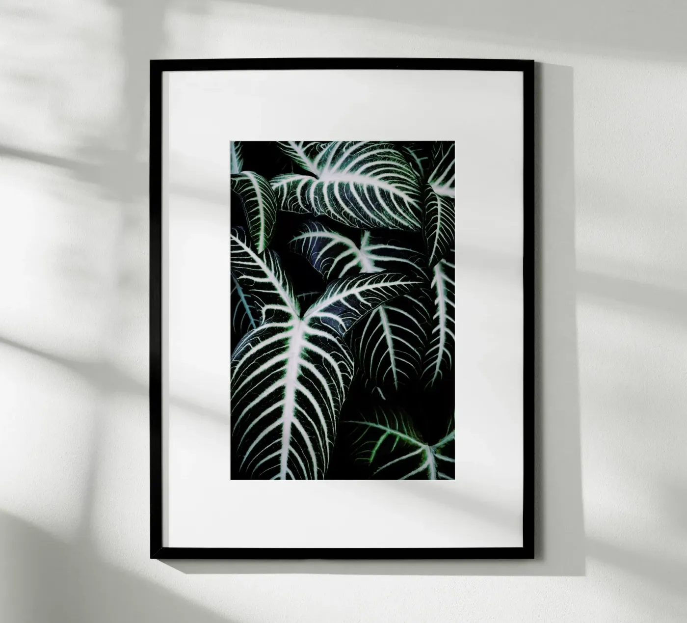 Jungle 2 poster da Amy & Kurt