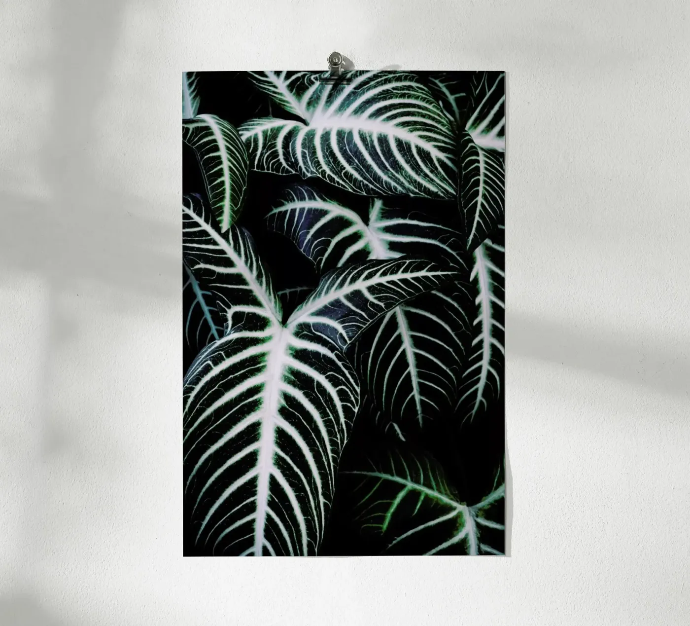 Jungle 2 poster da Amy & Kurt