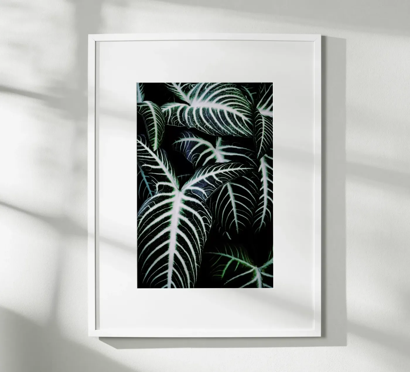 Jungle 2 poster da Amy & Kurt