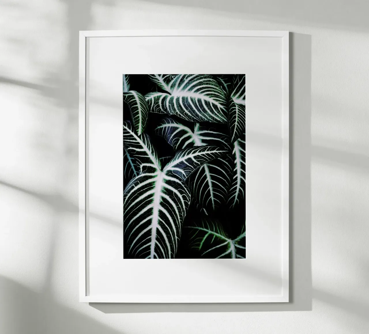 Jungle 2 poster da Amy & Kurt