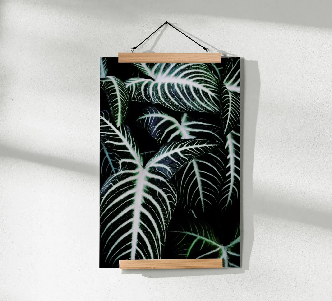 Jungle 2 poster da Amy & Kurt