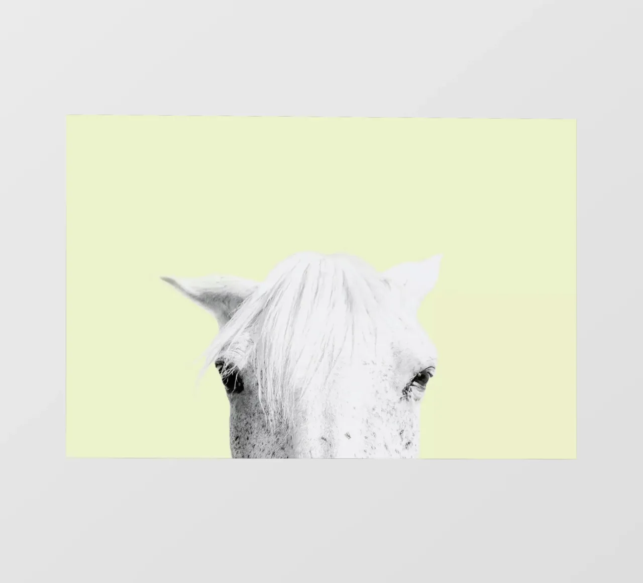 Yellow Horse pvc-zeil van Victoria Frost