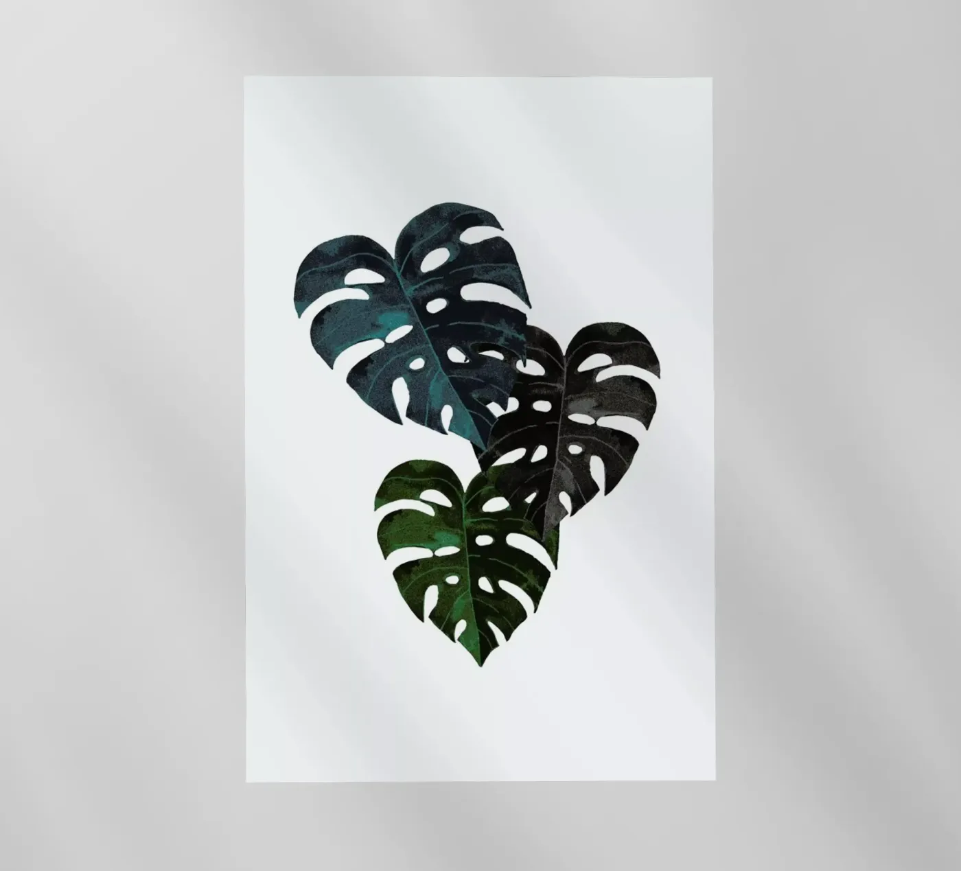 Monstera pellicola backlit da Amy & Kurt
