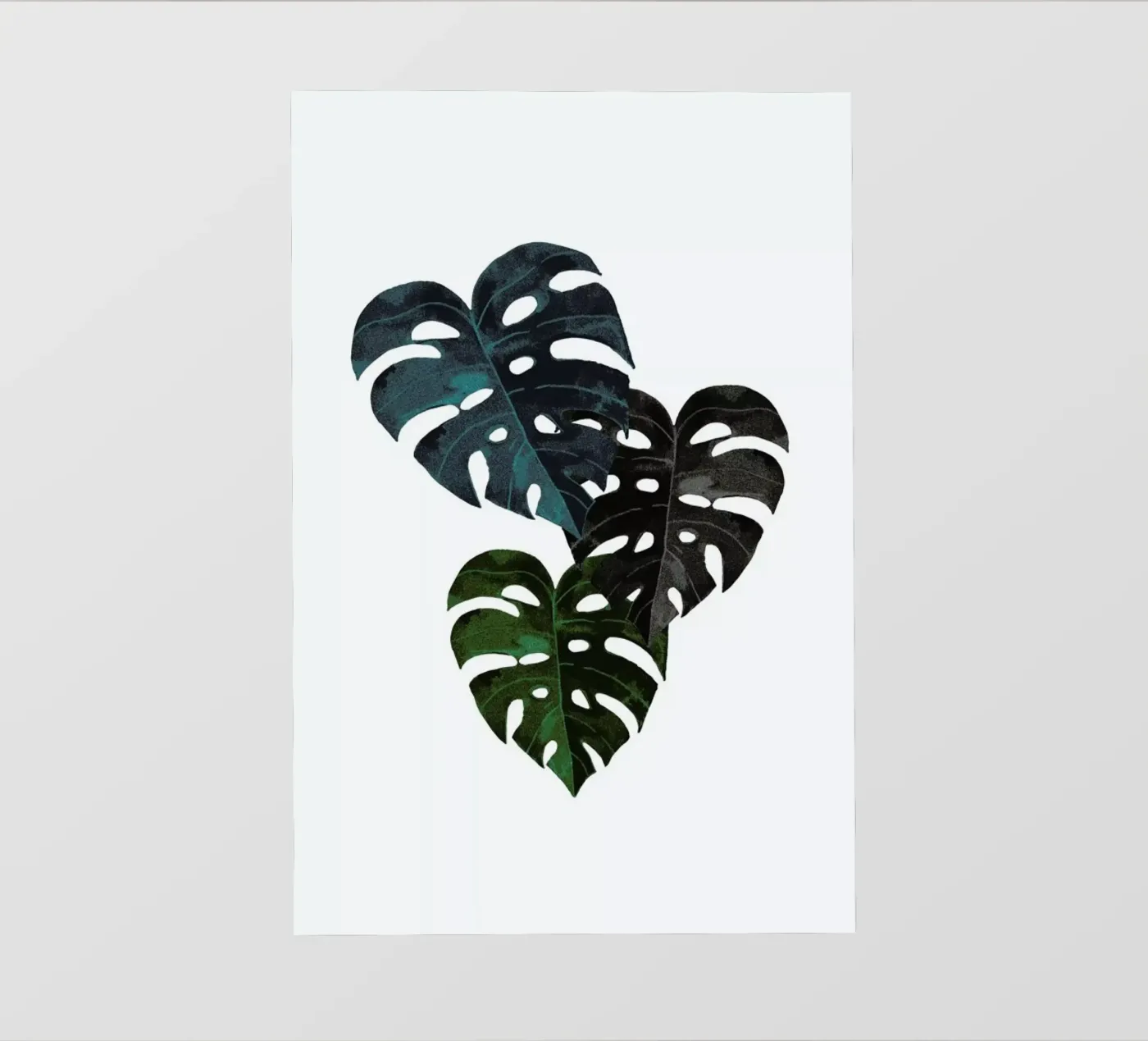 Monstera pellicola backlit da Amy & Kurt