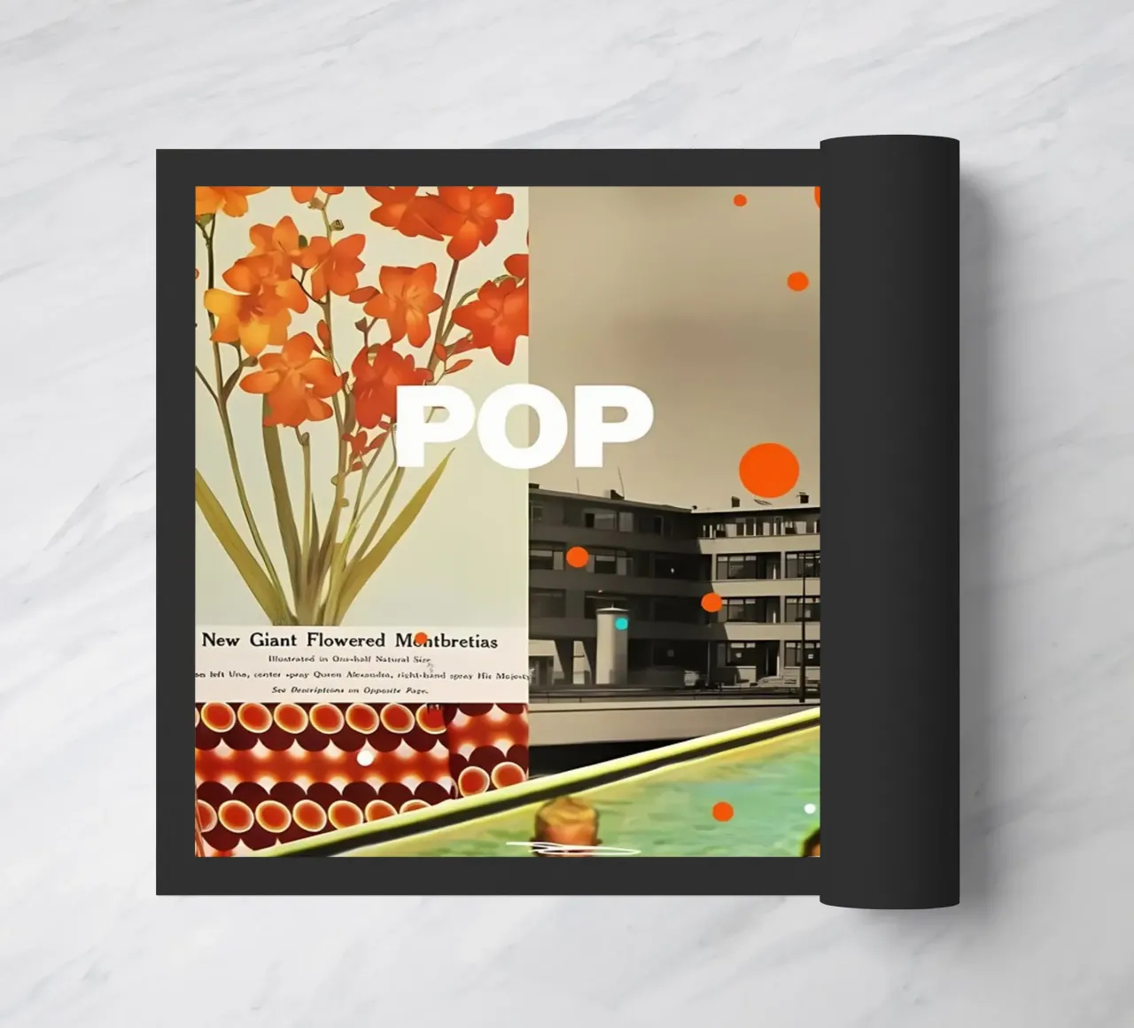 Pop zerbino da Ginnery