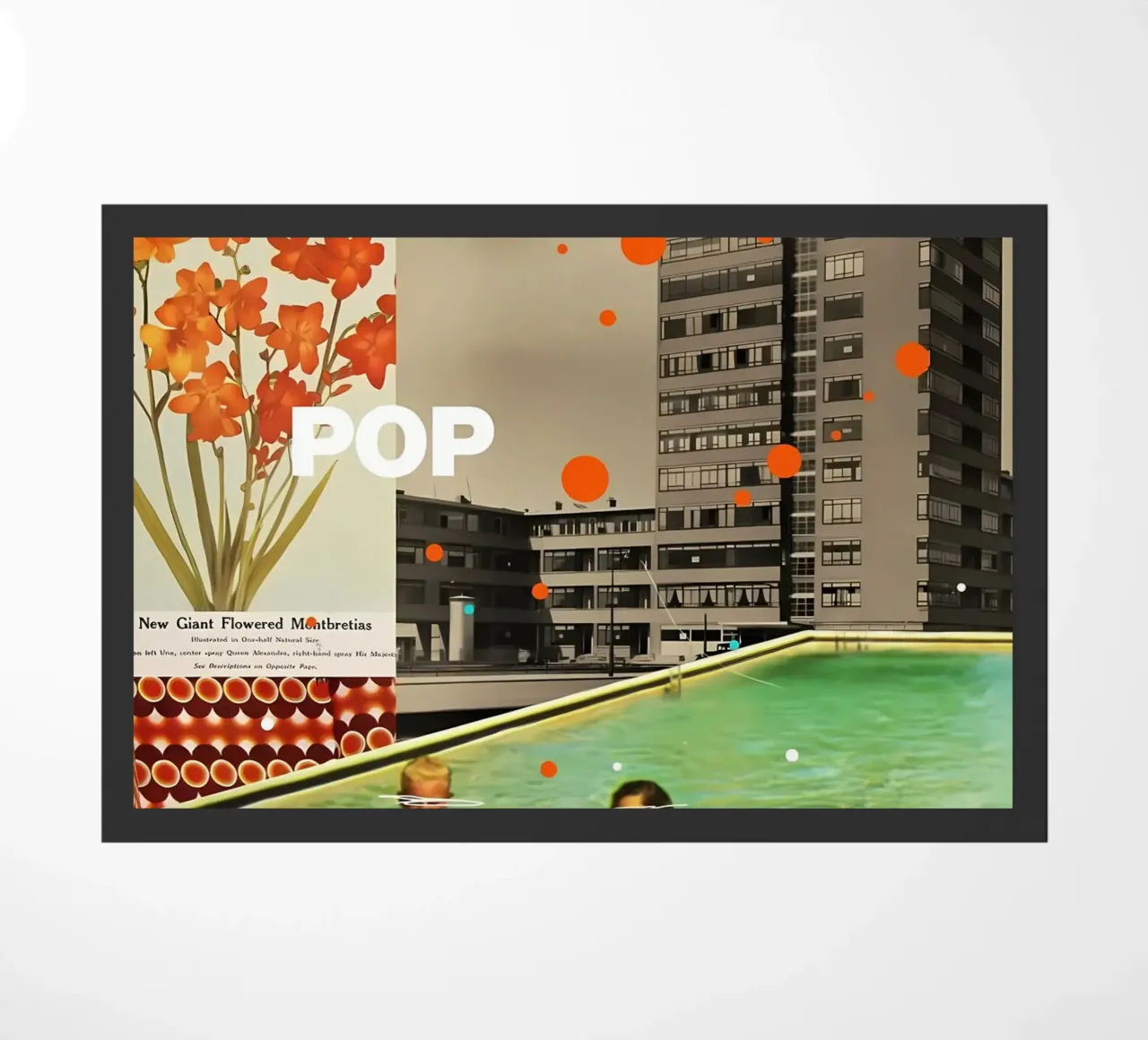 Pop zerbino da Ginnery