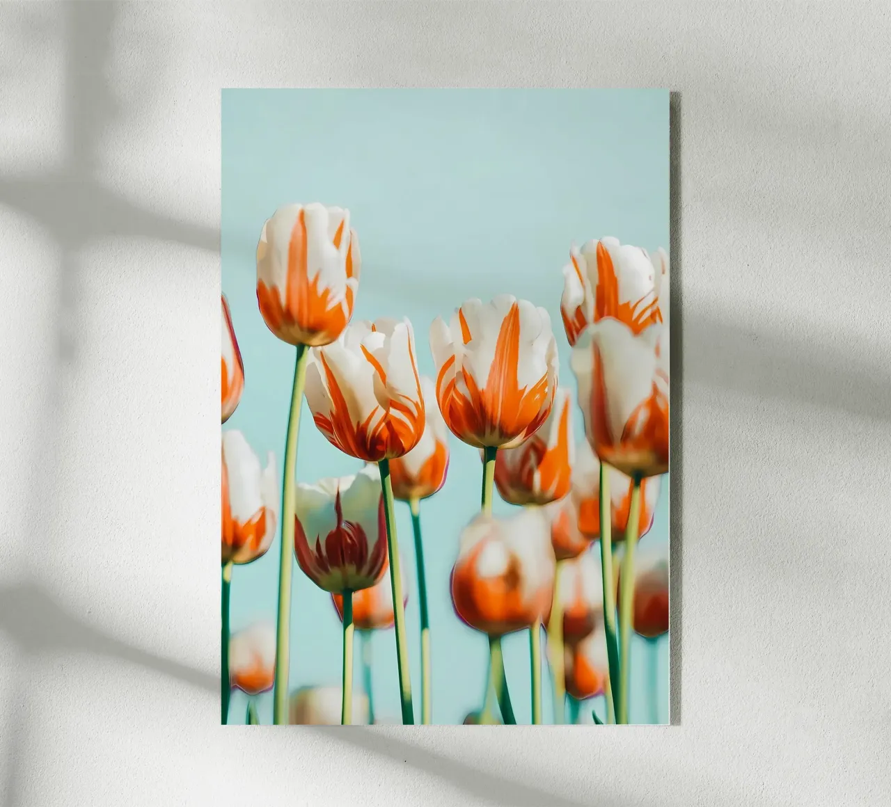 Estelle plexiglass da Ginnery