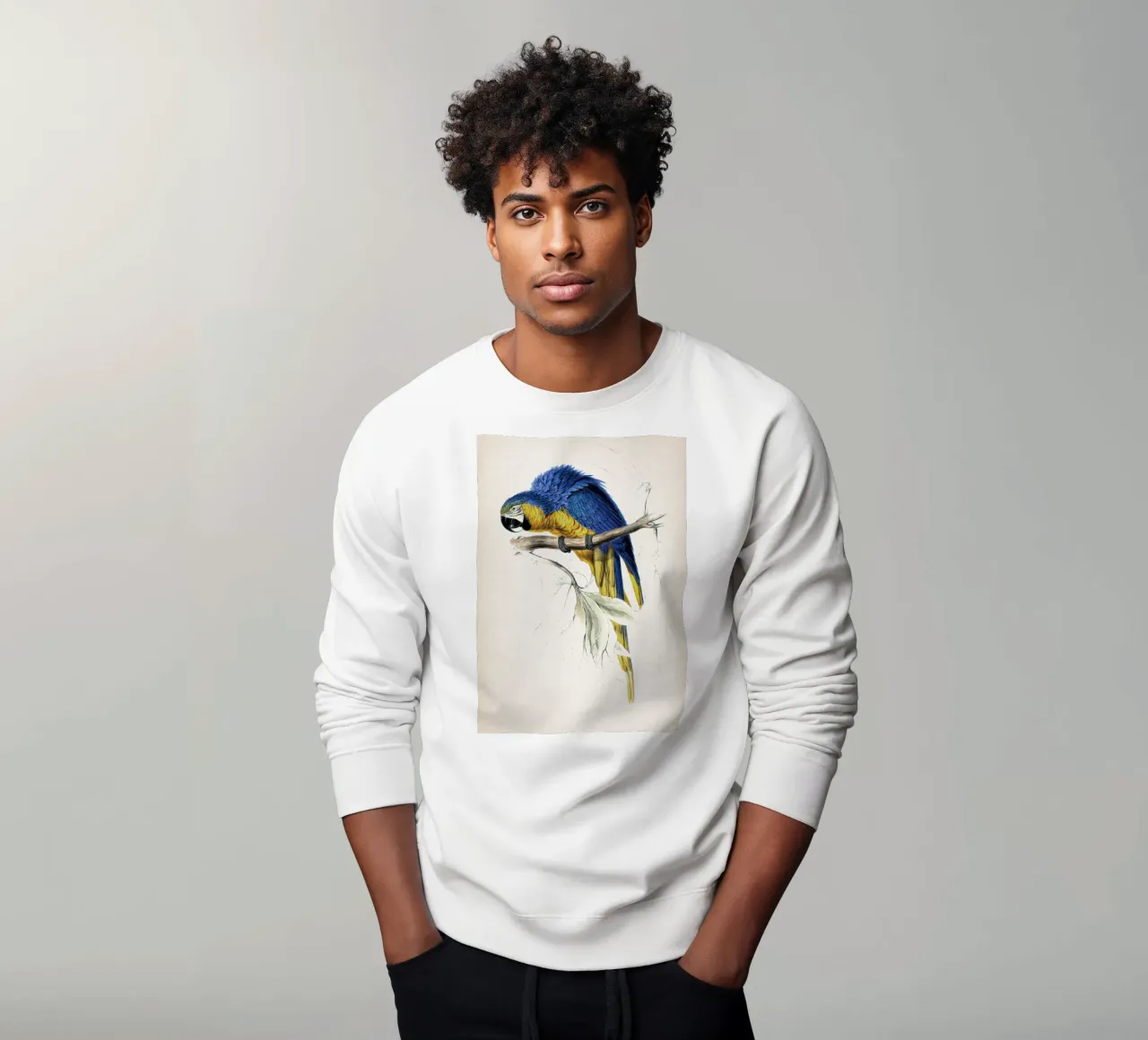 Vintage Lear 1 Macrocerus Ararauna felpa da Vintage Print Collection