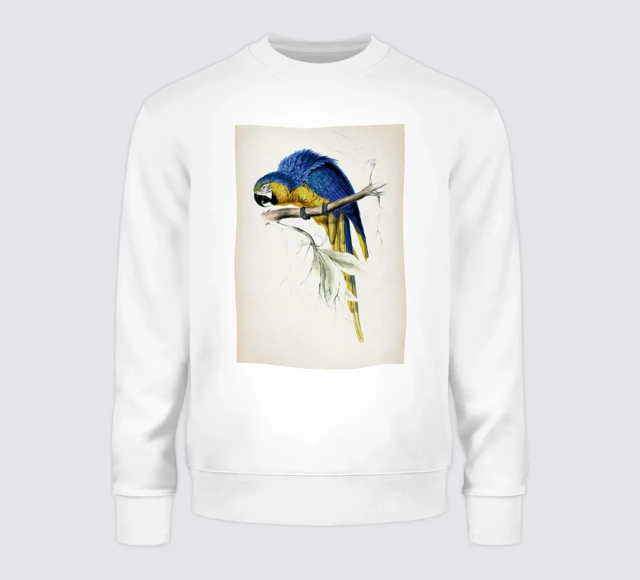 Vintage Lear 1 Macrocerus Ararauna sweatshirt van Vintage Print Collection