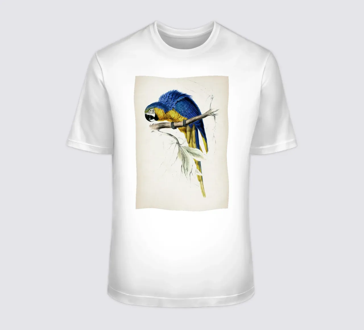 Vintage Lear 1 Macrocerus Ararauna t-shirt da Vintage Print Collection