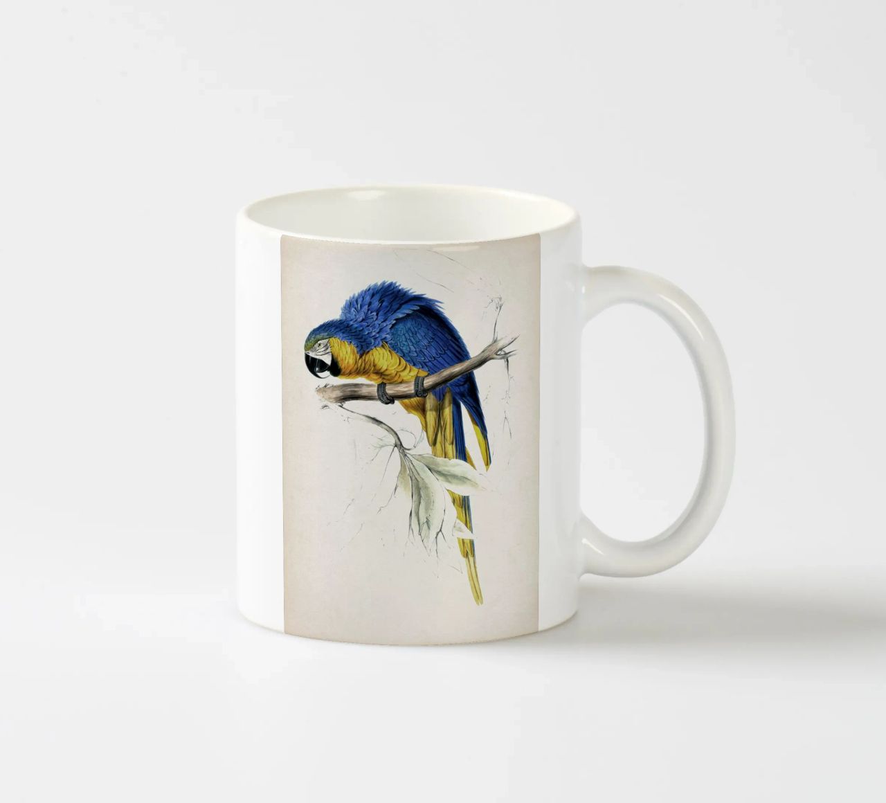 Vintage Lear 1 Macrocerus Ararauna tazza in ceramica da Vintage Print Collection