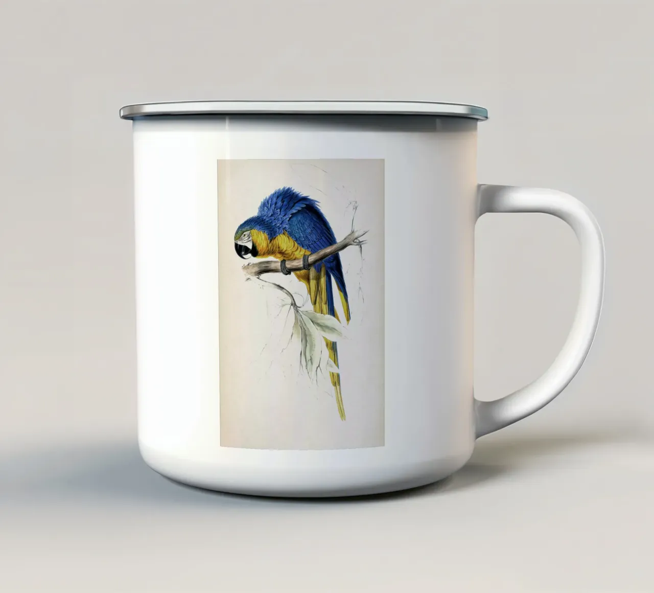 Vintage Lear 1 Macrocerus Ararauna enamel mug by Vintage Print Collection