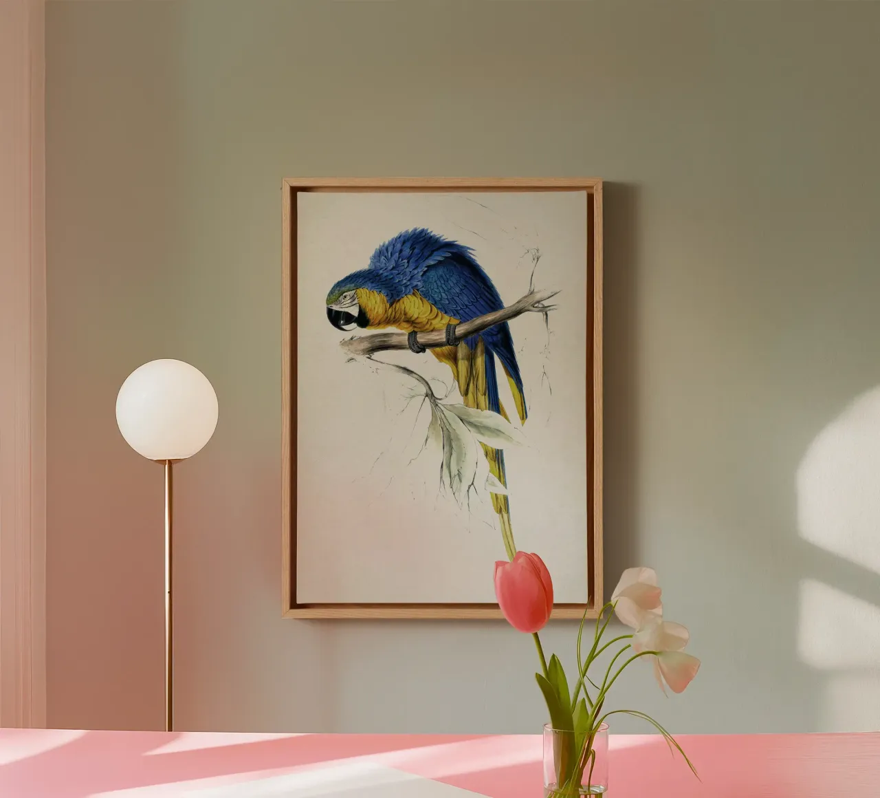 Vintage Lear 1 Macrocerus Ararauna tela con Cornice a cassetta da Vintage Print Collection