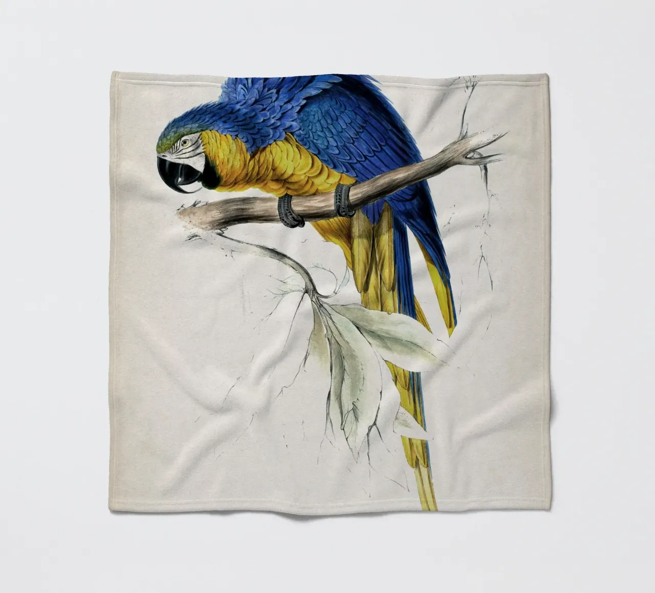 Vintage Lear 1 Macrocerus Ararauna coperta in pile da Vintage Print Collection