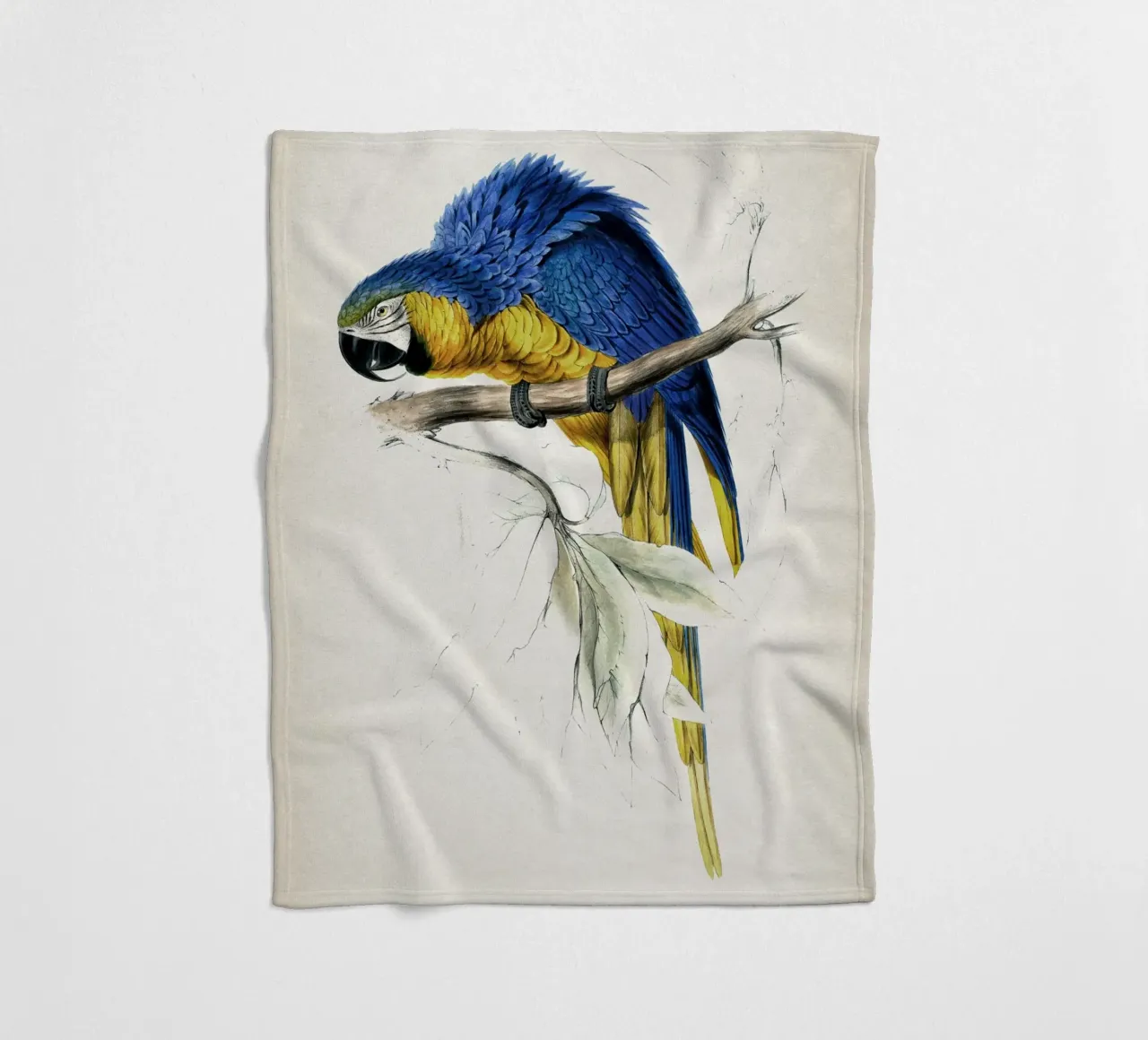 Vintage Lear 1 Macrocerus Ararauna coperta in pile da Vintage Print Collection