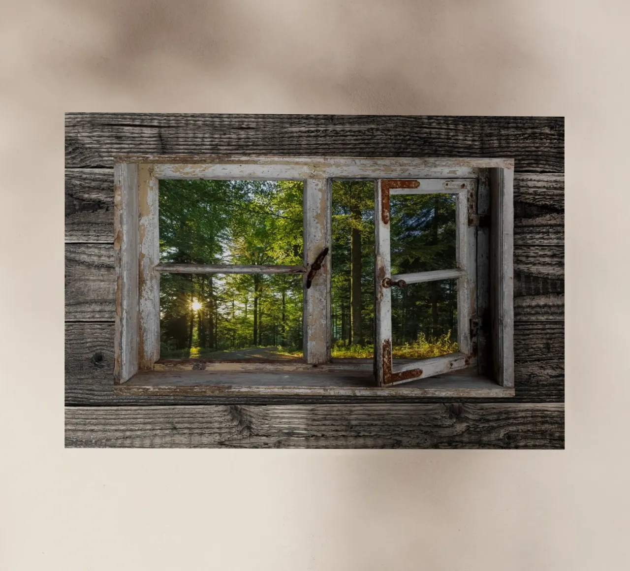 Fensterblick in den Wald pellicola backlit da Juergen Wiesler