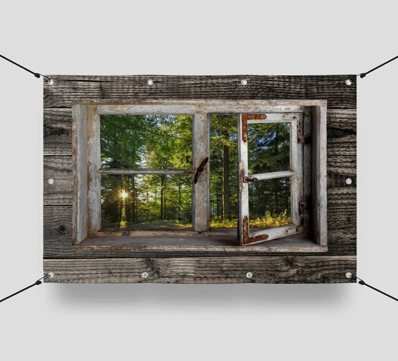 Fensterblick in den Wald telo in pvc da Juergen Wiesler