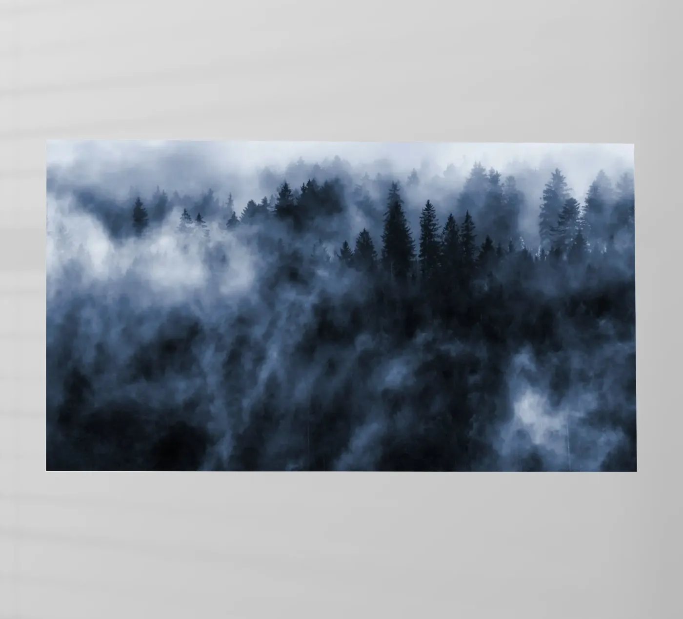 Cloud forest backlit folie van Juergen Wiesler