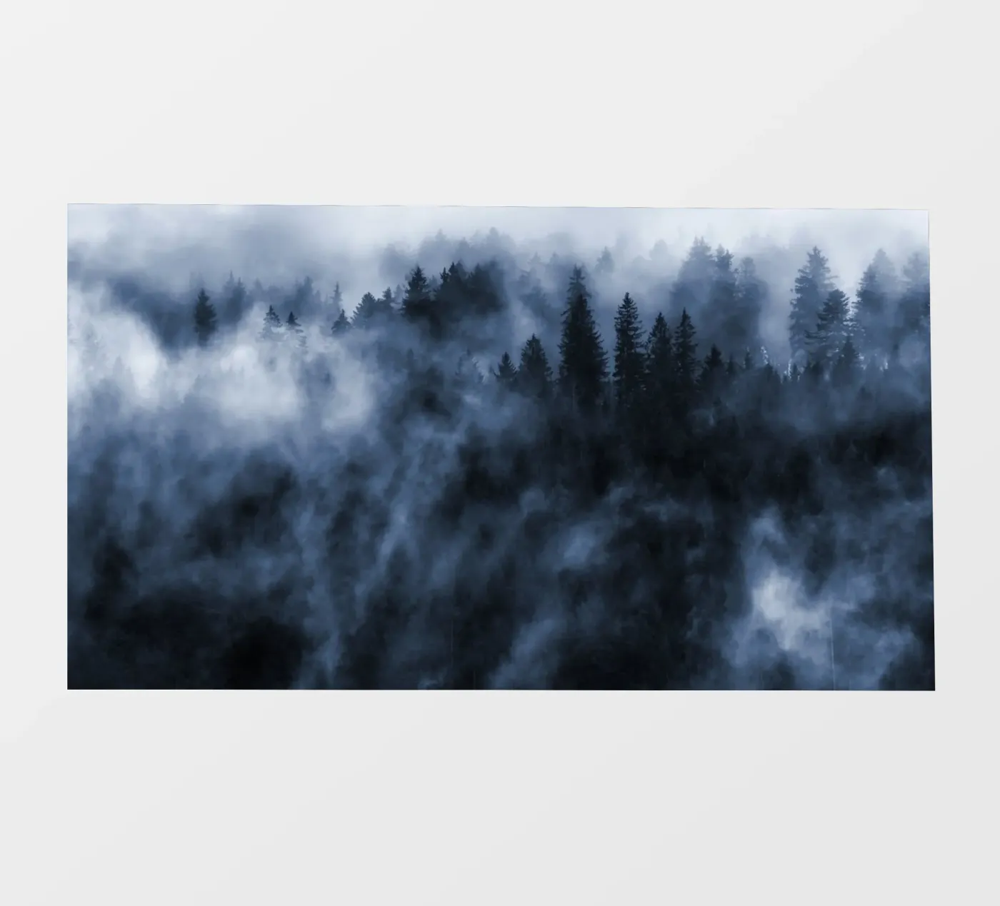 Cloud forest pellicola backlit da Juergen Wiesler