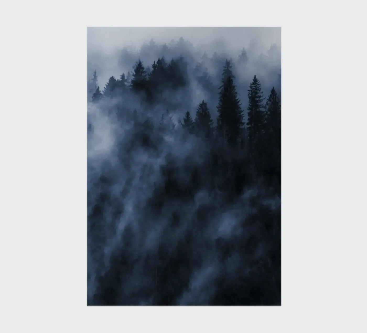 Cloud forest notebook by Juergen Wiesler