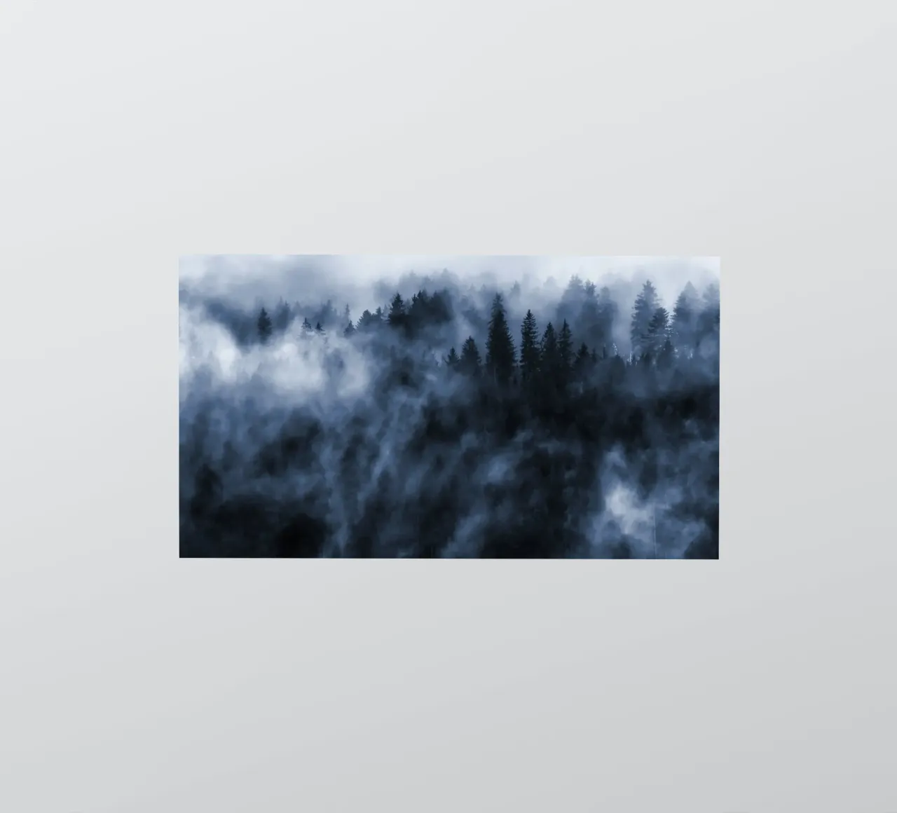 Cloud forest sticker by Juergen Wiesler