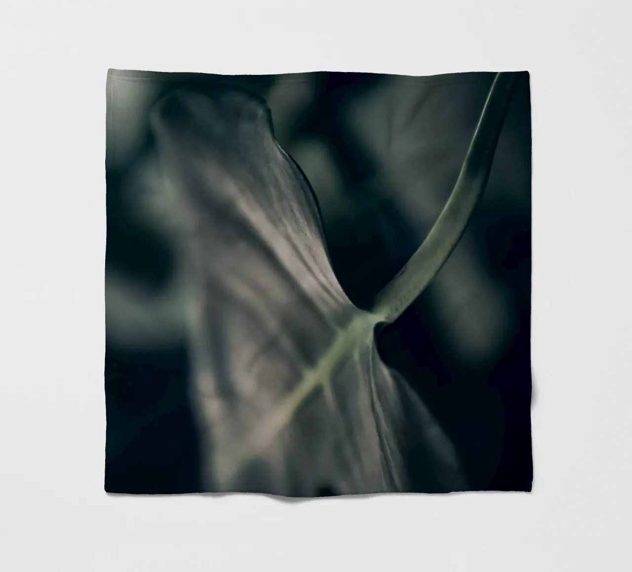 Moody Monstera 4 coperta in pile da Klaus with K