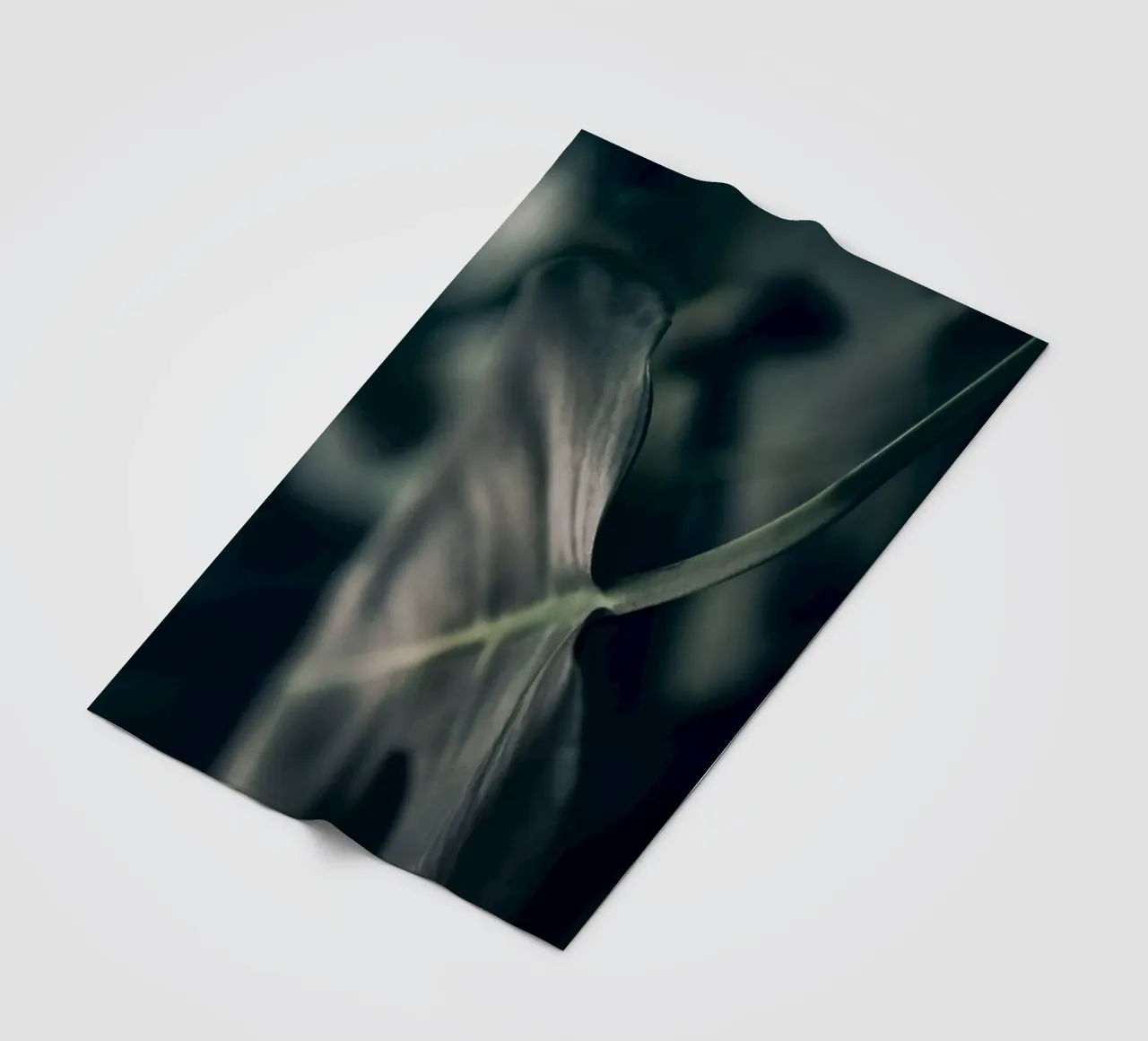 Moody Monstera 4 coperta in pile da Klaus with K