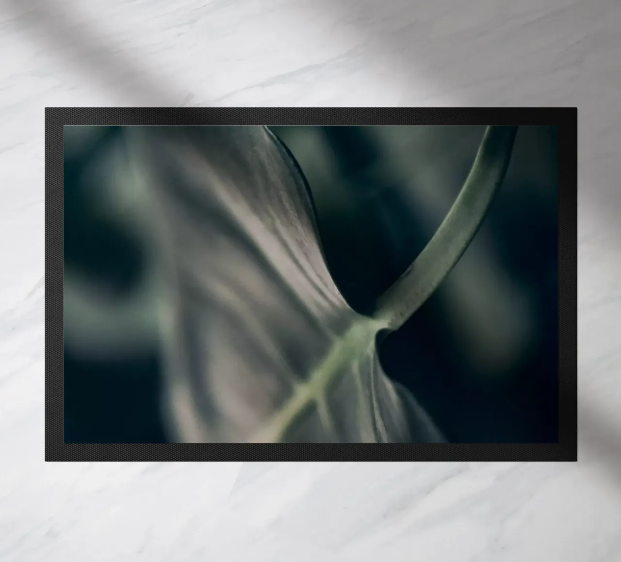 Moody Monstera 4 zerbino da Klaus with K