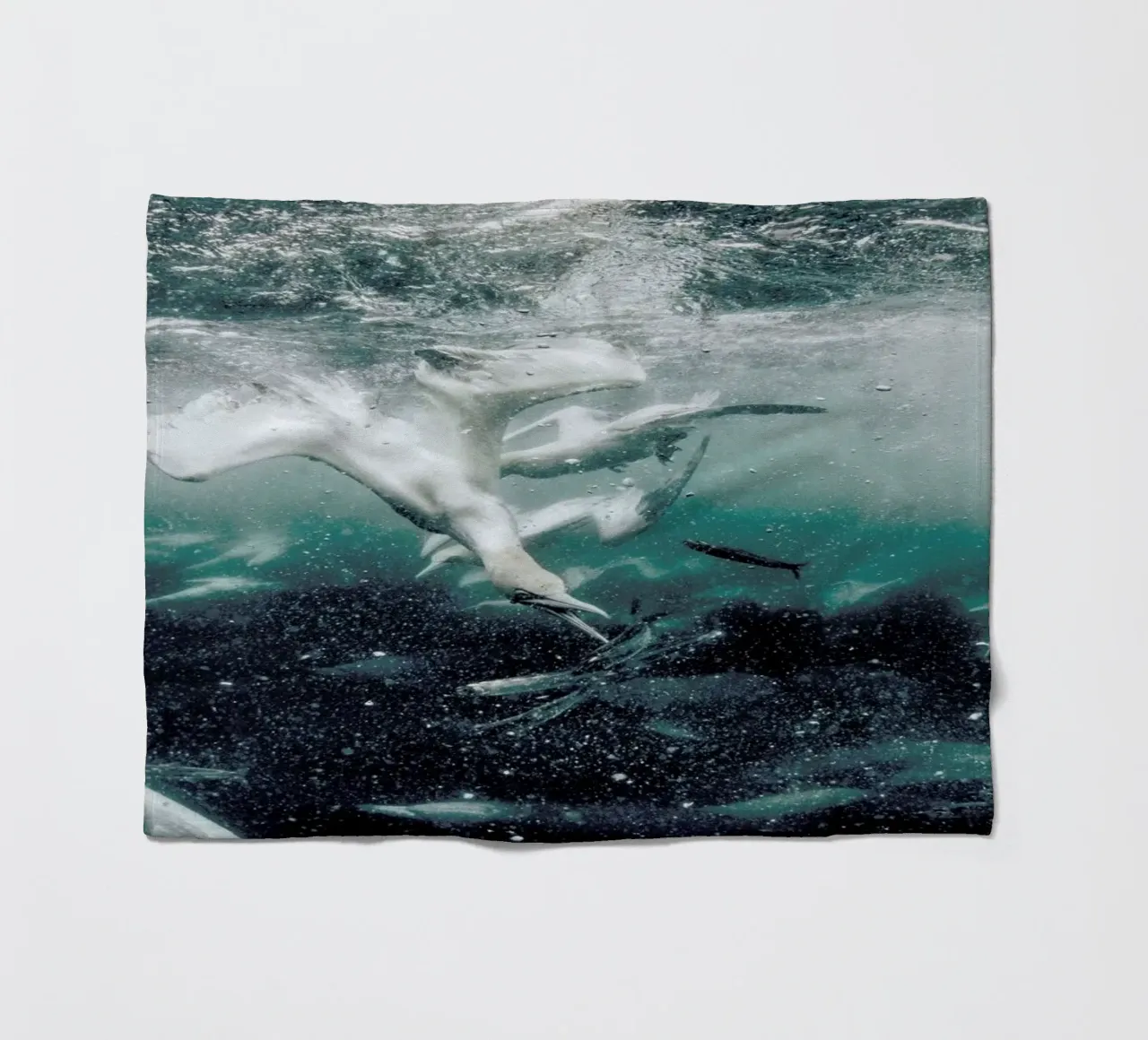Battle by @JimmySong1 coperta in pile da EyeEm Mobile GmbH